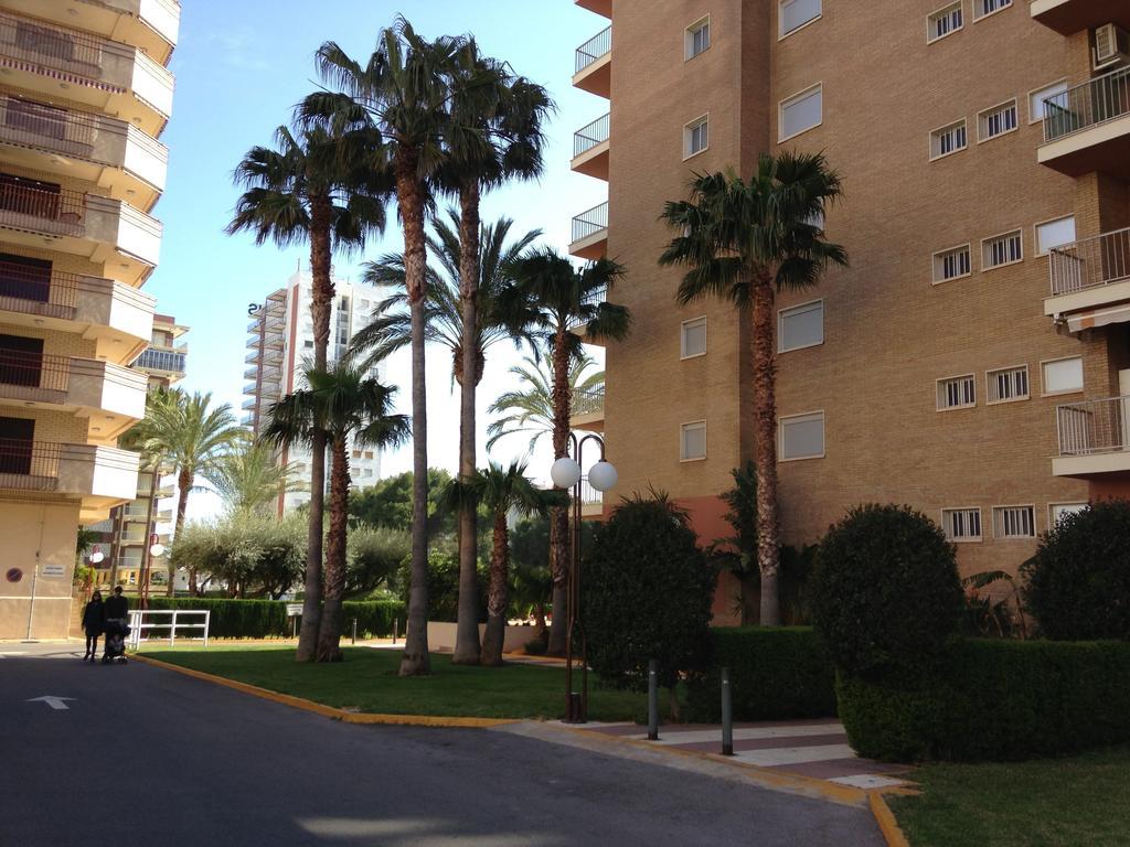 Apartamentos Benicàssim Oda fotoğraf
